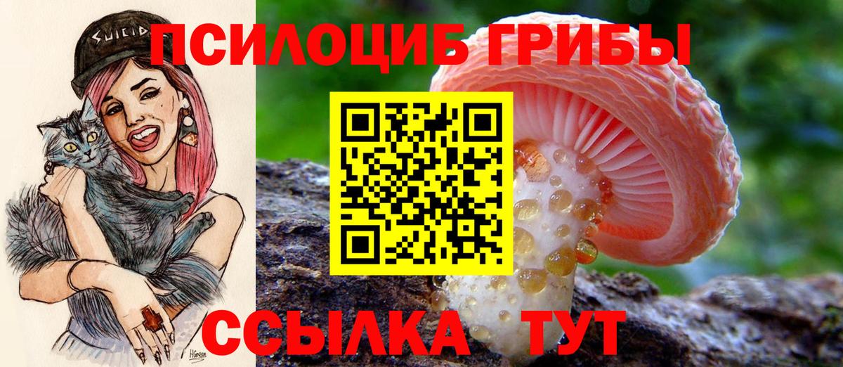 Галлюциногенные грибы GOLDEN TEACHER Ижевск