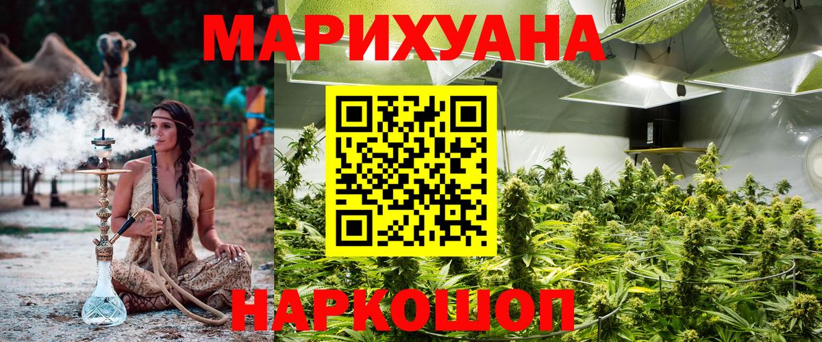 Ижевск  Бошки Шишки OG Kush  Бошки Шишки план  Марихуана конопля  Вход с VPN  Шишки марихуана White Widow 